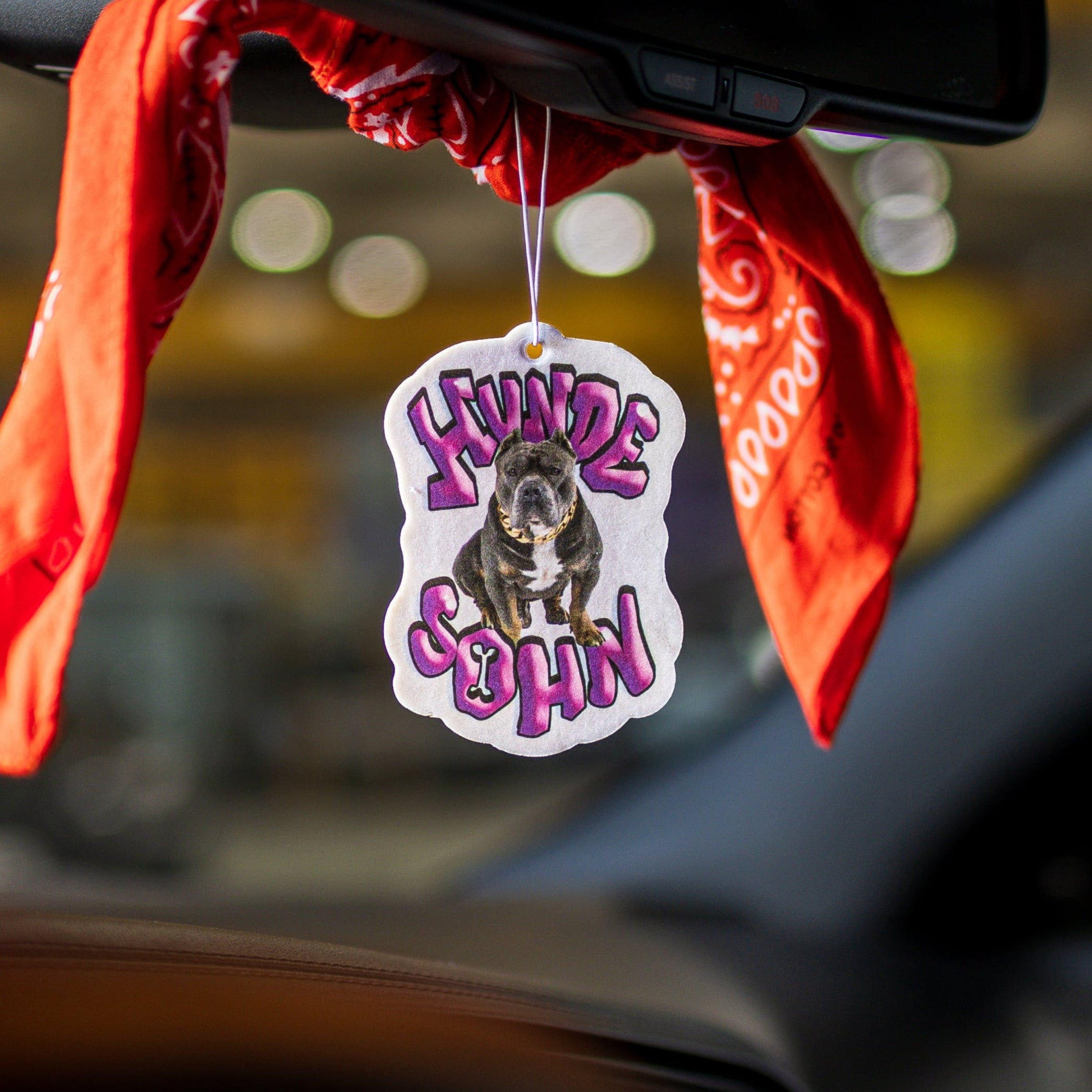 Hunde Sohn