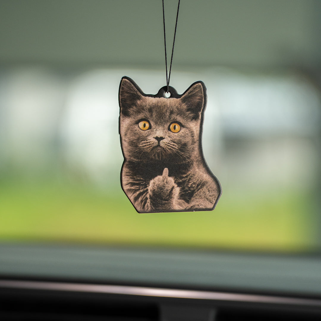 Mittelﬁnger Katze